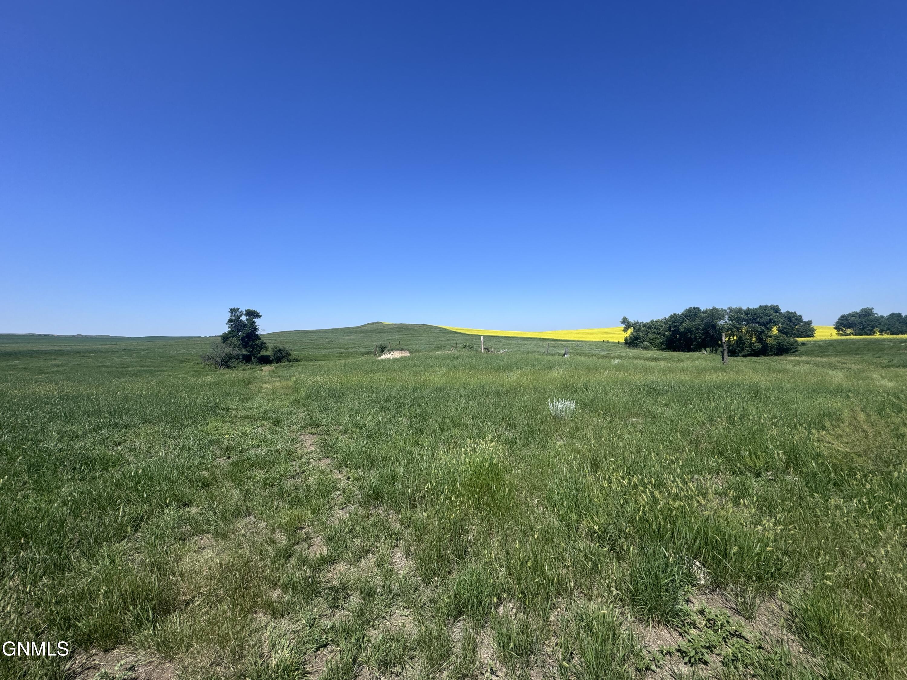Tbd 101st Avenue SW