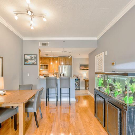 1101 JUNIPER Street NE Unit 331