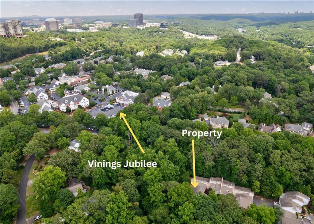 3092 Vinings Ferry Drive SE Unit 3092