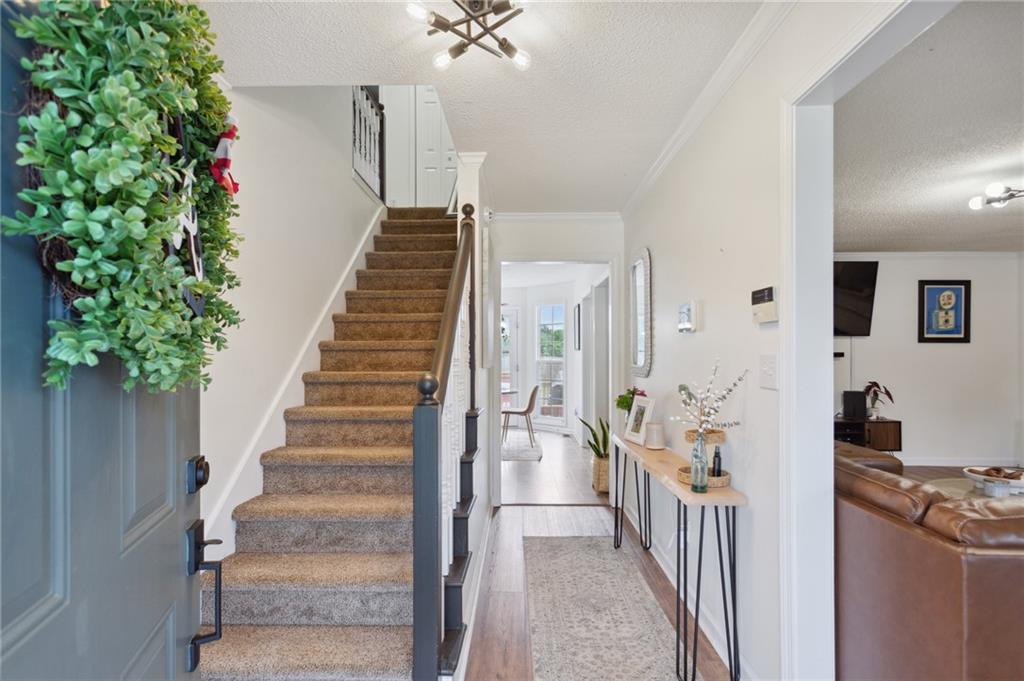 241 Springdale Lane