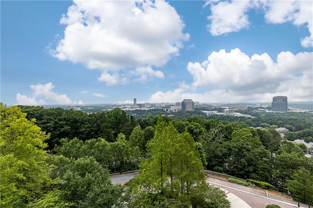 2950 Mount Wilkinson Parkway SE Unit 704