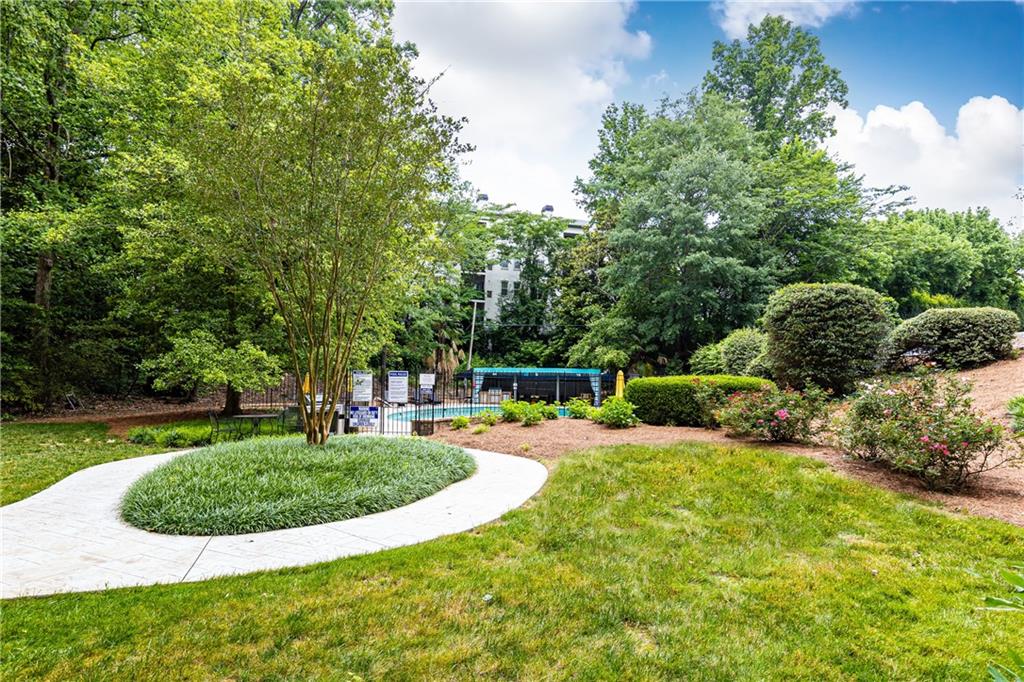 3530 Piedmont Road NE Unit 3C