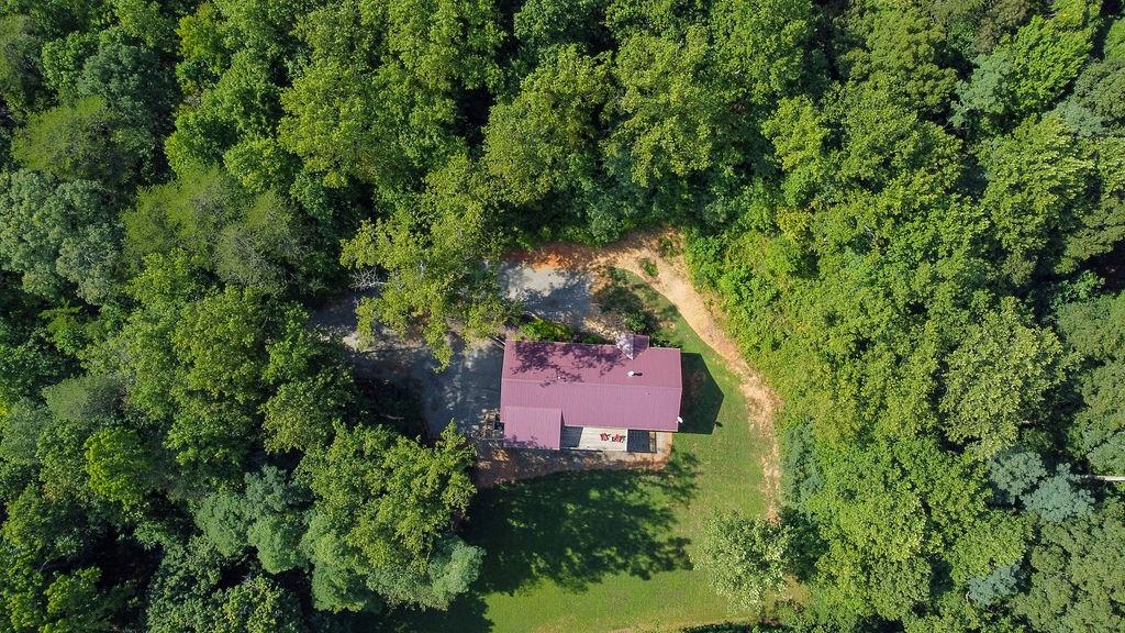 3597 Highway 136 E