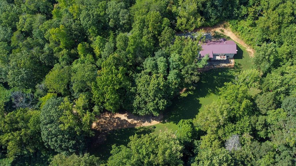 3597 Highway 136 E