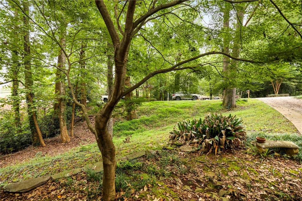 6394 Cherry Tree Lane