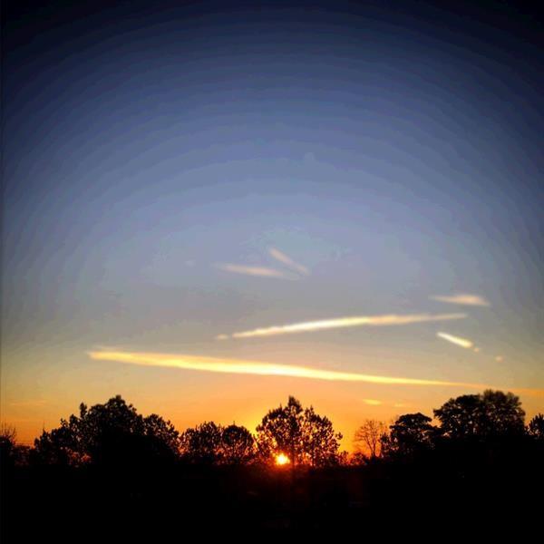 5300 PEACHTREE Road Unit 4514