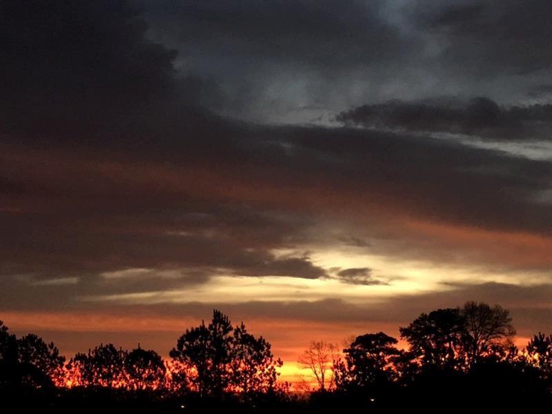 5300 PEACHTREE Road Unit 4514