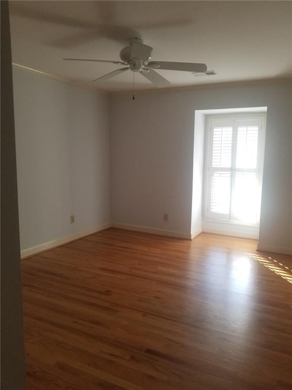 281 The South Chace