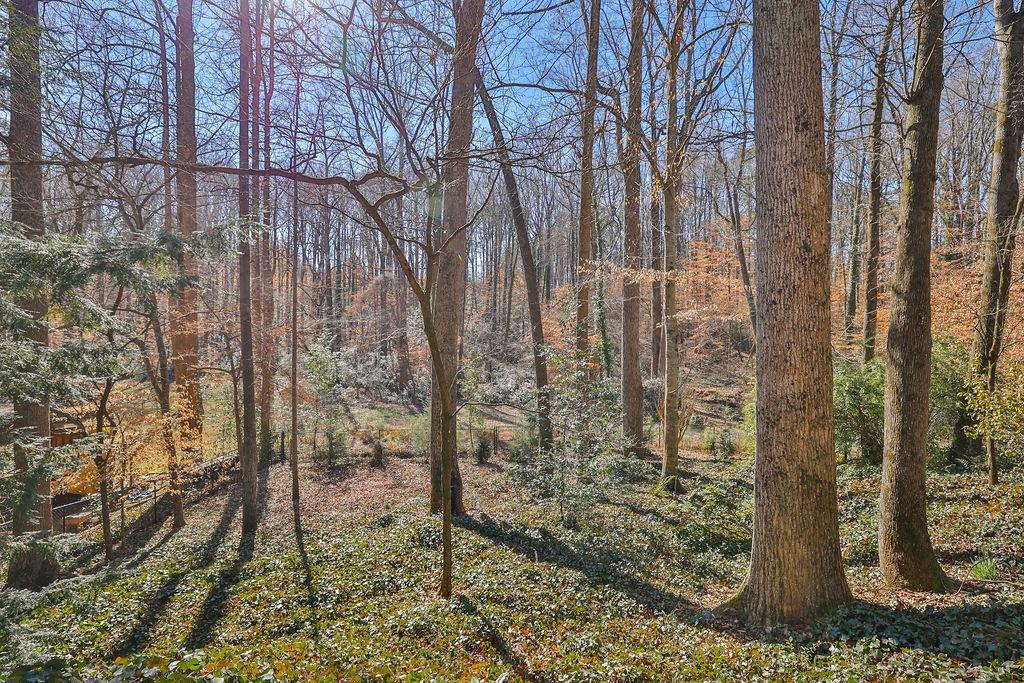 1477 Bubbling Creek Road NE