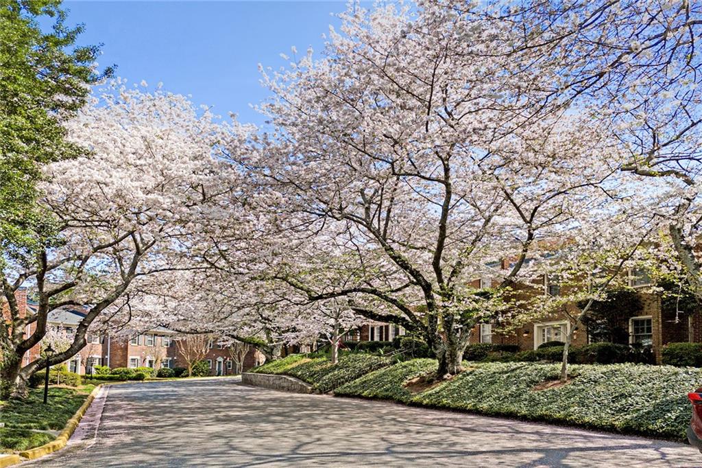 3050 Margaret Mitchell Drive Unit 5