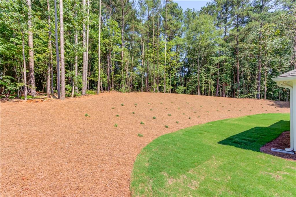 646 Huntington Trace