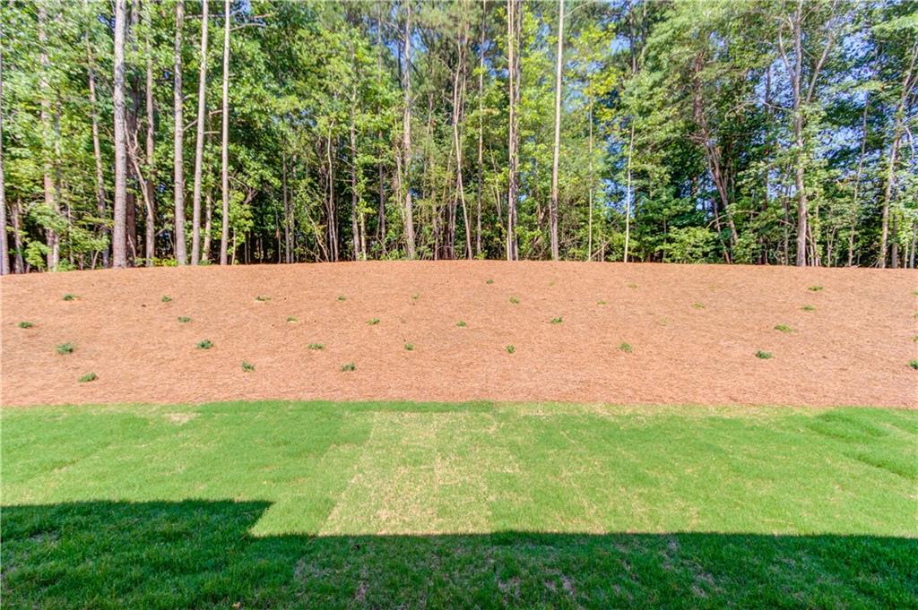 646 Huntington Trace
