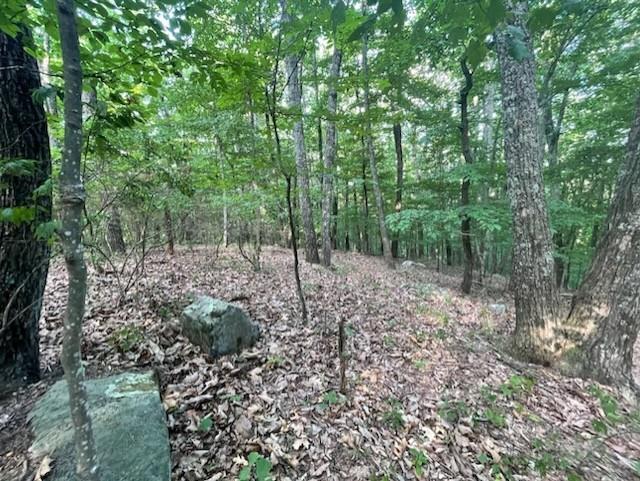 860 Cloudland Trace