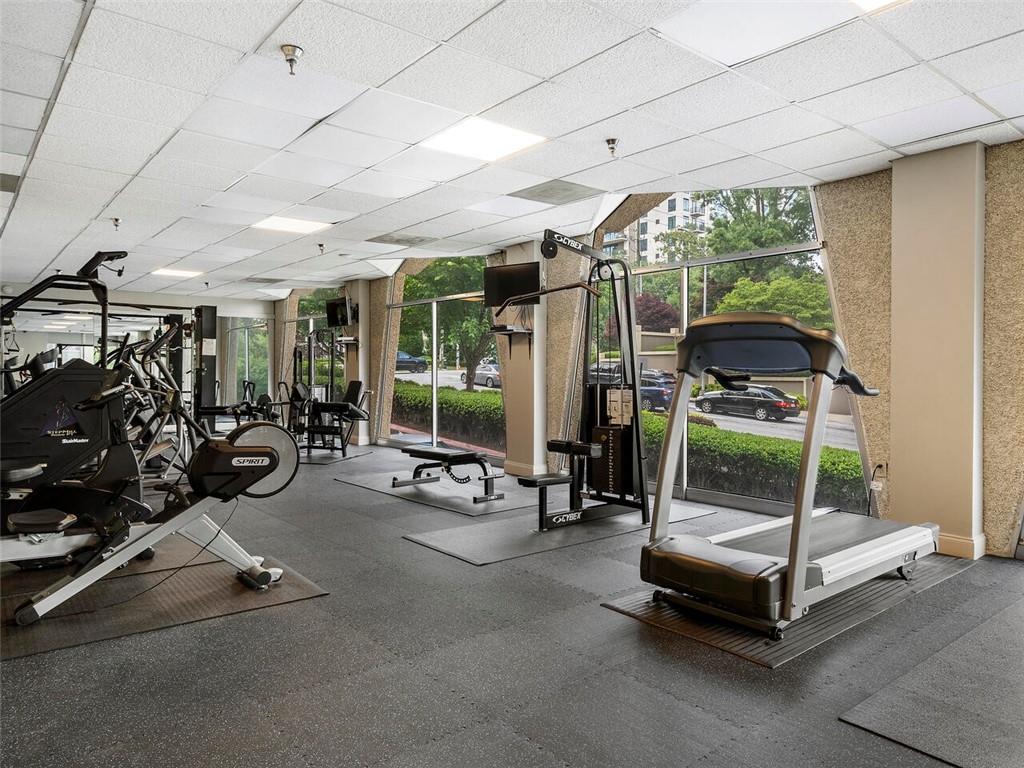 2479 Peachtree Road NE Unit 217