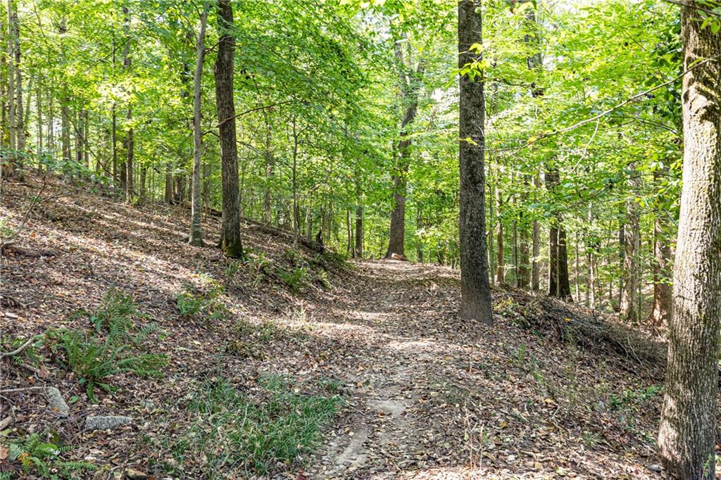 3222 Paces Mill Road SE