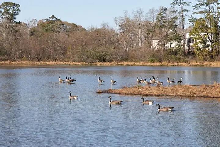 108 Fieldbrook Crossing