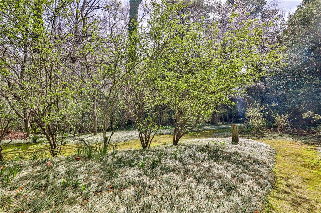 3555 Kingsboro Road NE