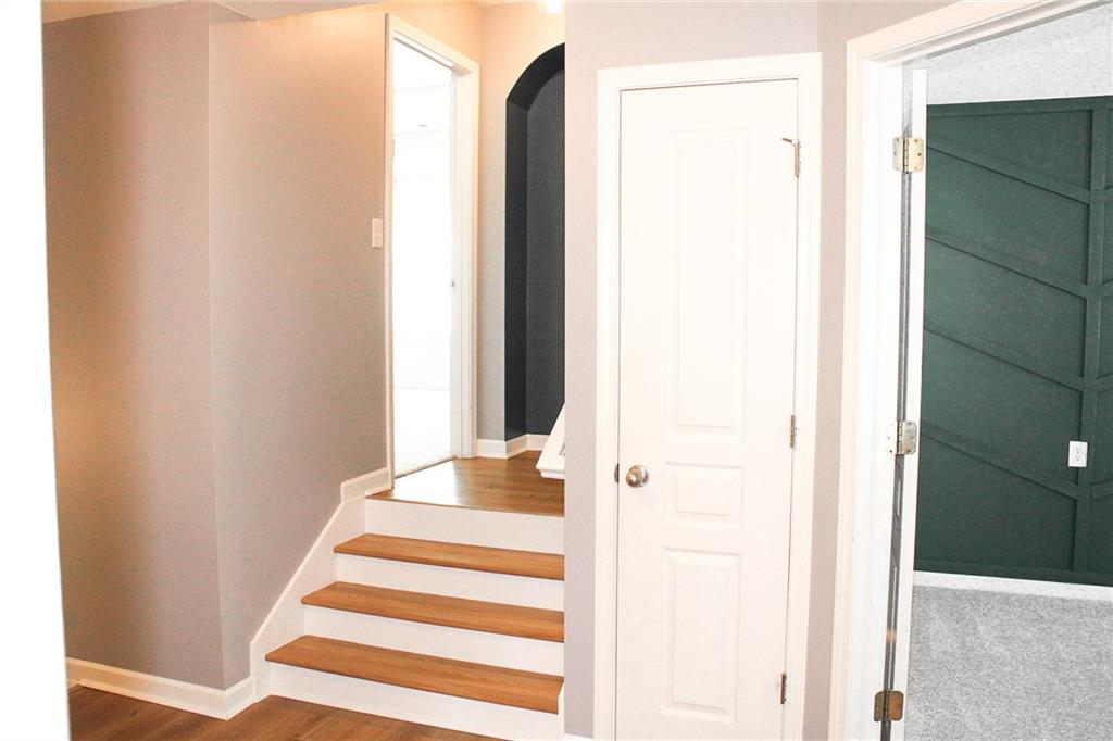 307 Downing Creek Trail