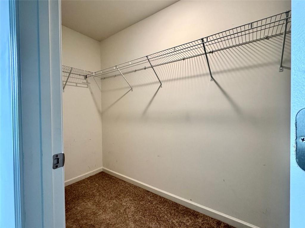 1606 LARKSPUR Trail