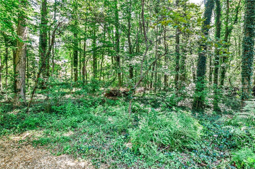 2528 Chimney Springs Drive