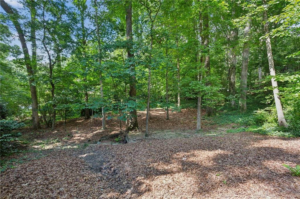 3640 Shelby Lane
