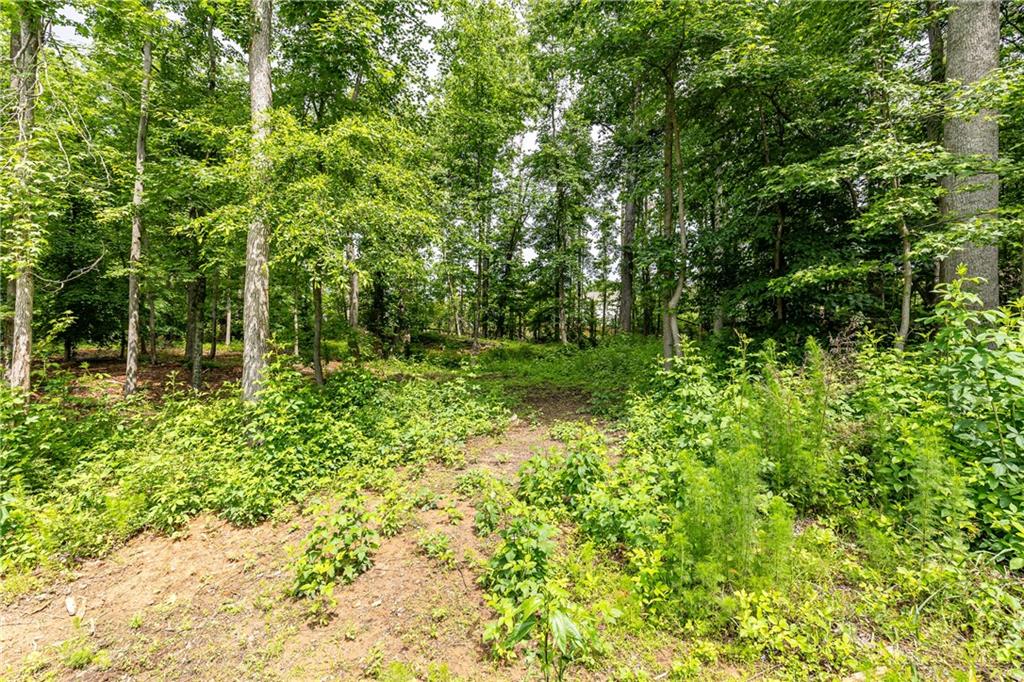 3370 Aaron Sosebee Road