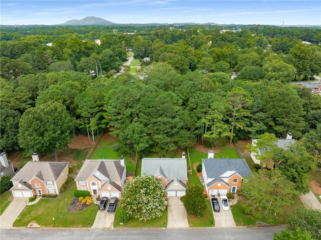 1593 Pinebreeze Drive