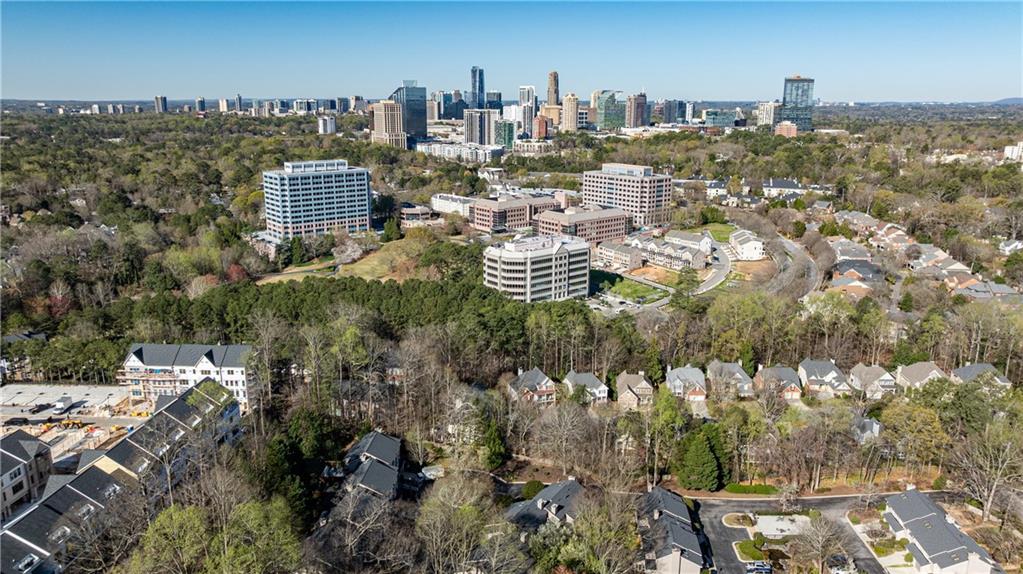 1210 Brookhaven Woods Court NE