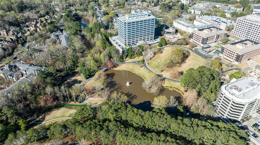 1210 Brookhaven Woods Court NE