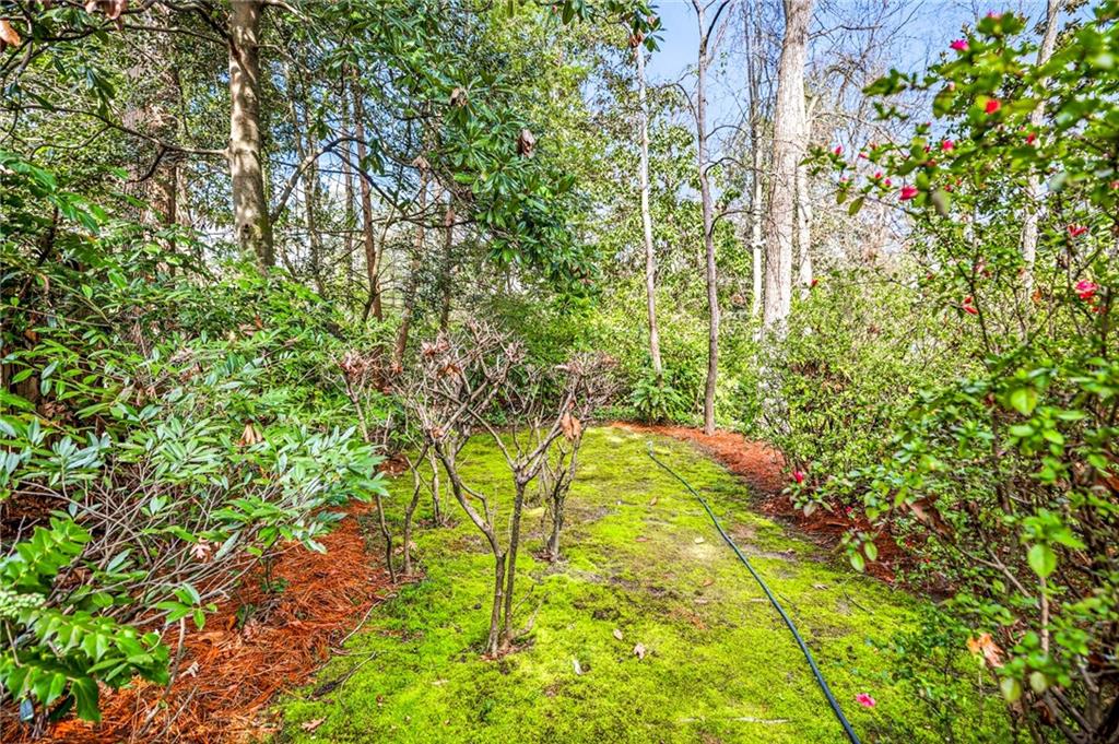 547 Spring Valley Road NW