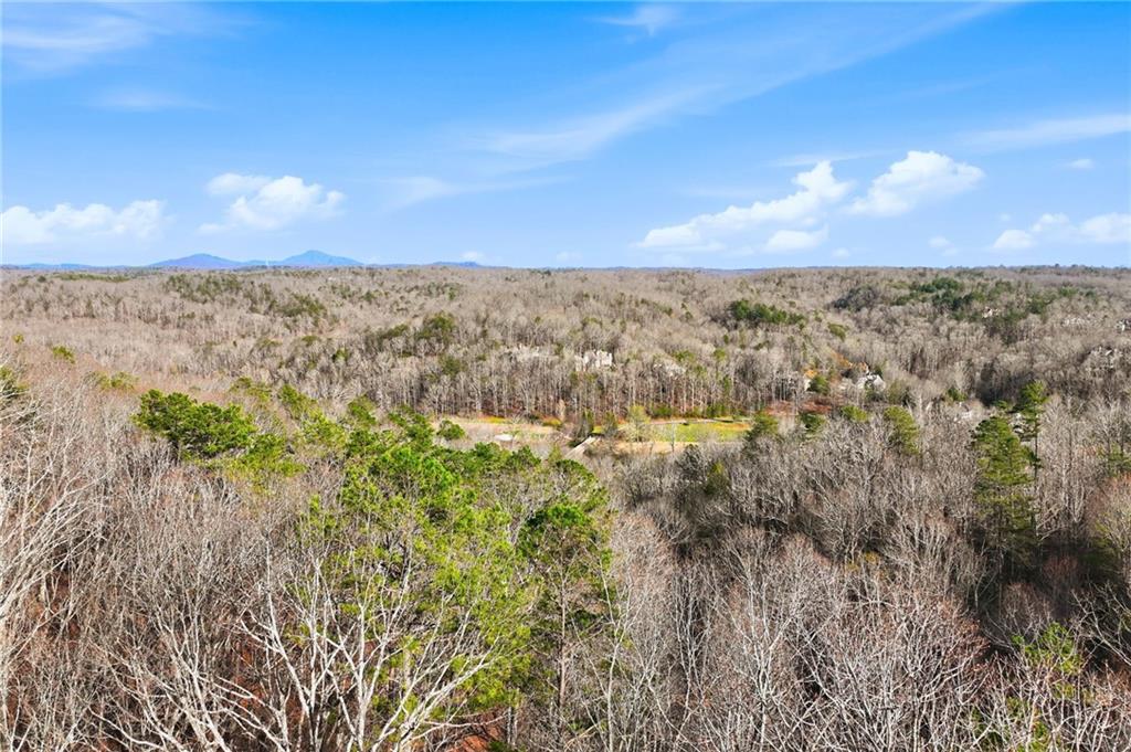 1012 Bear Paw Ridge