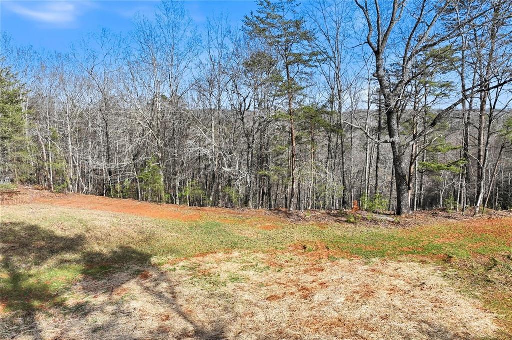 1012 Bear Paw Ridge
