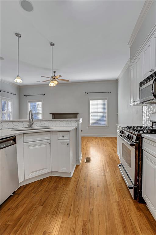 225 Carlyle Park Drive NE