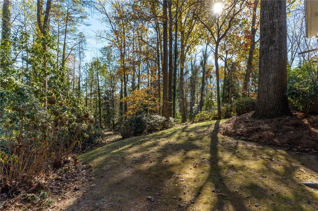 6395 Colewood Court