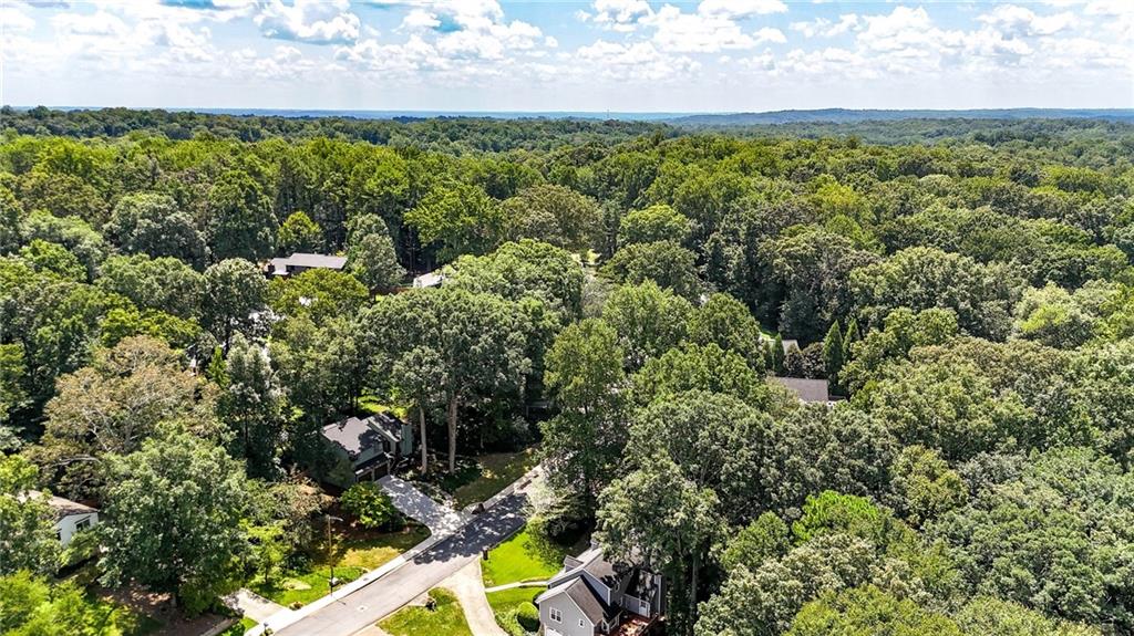 3479 Vinings North Trail SE