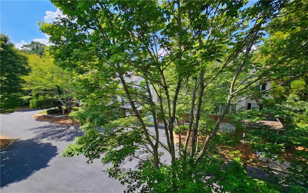 210 Spring Heights Lane SE Unit 2