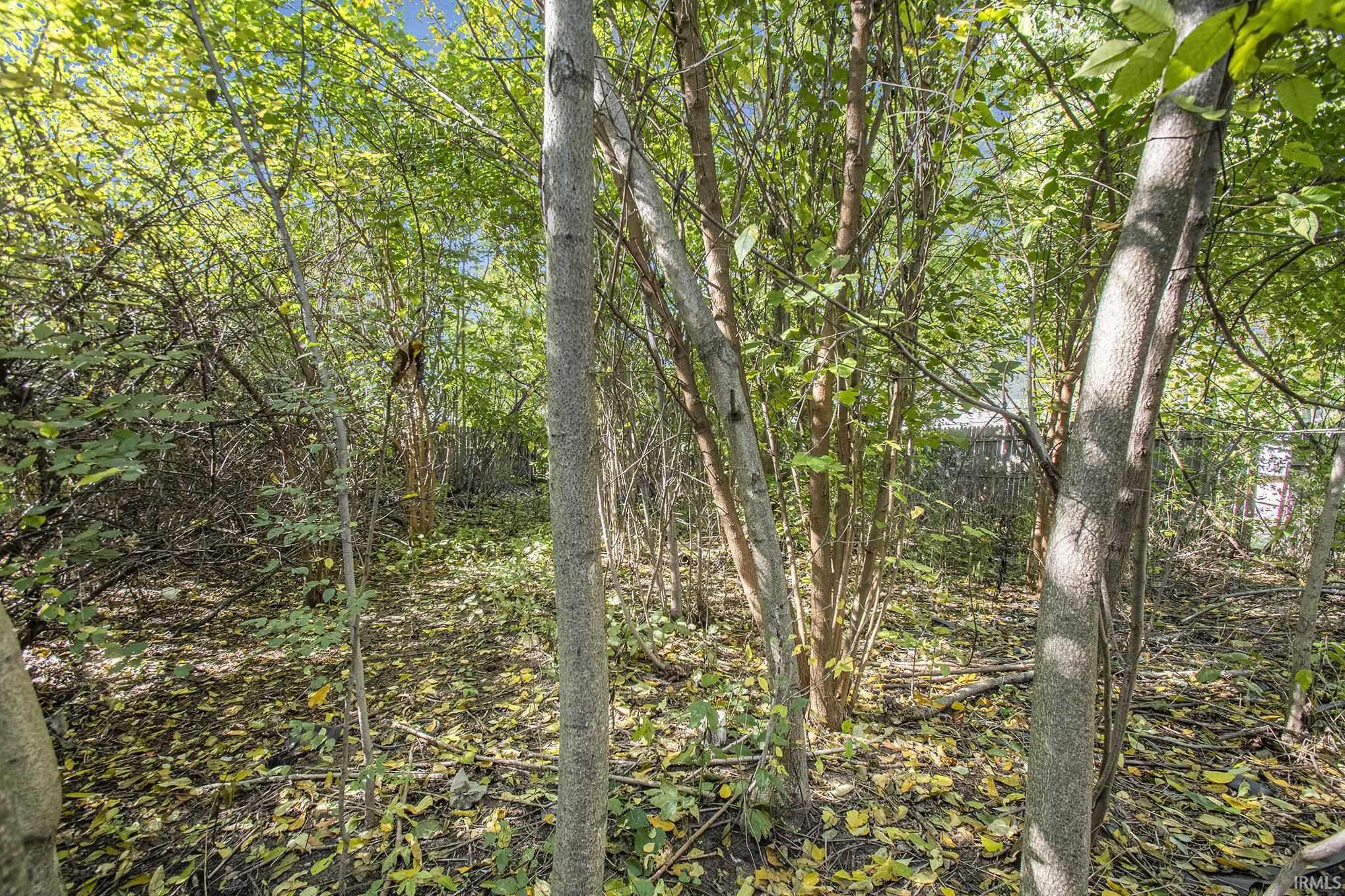 57551 Woodrow Street