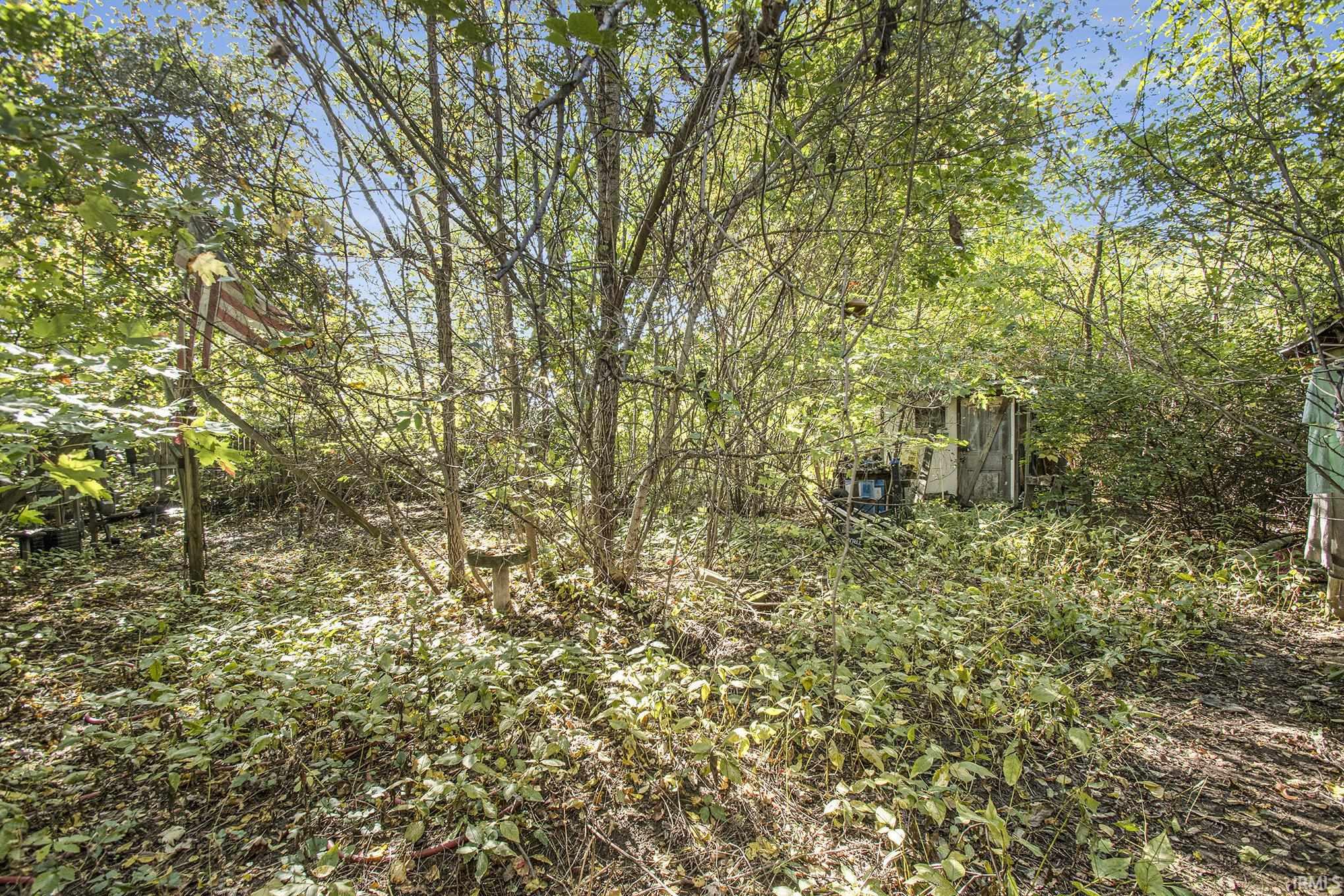 57551 Woodrow Street