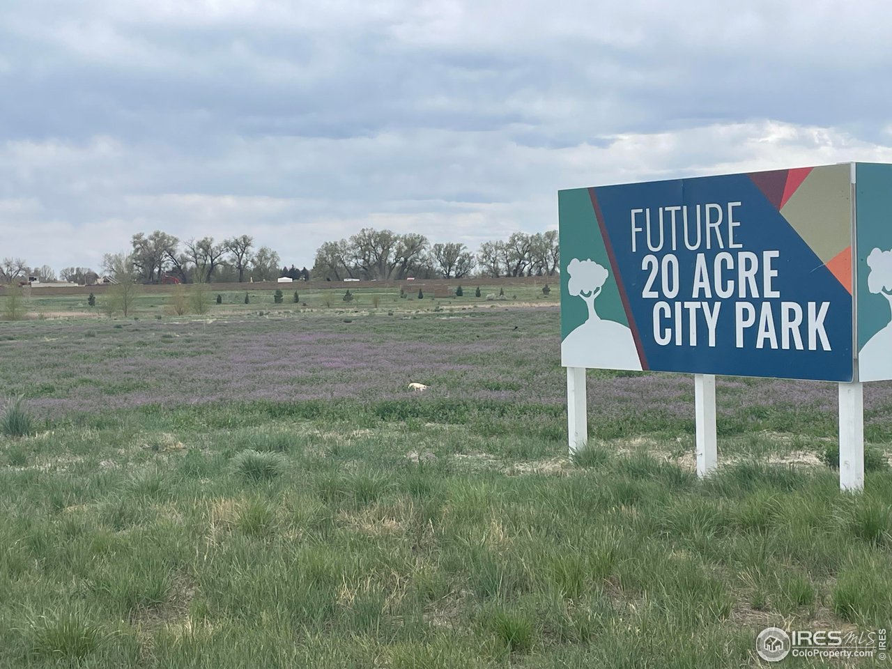 2944 Barnstormer St 6