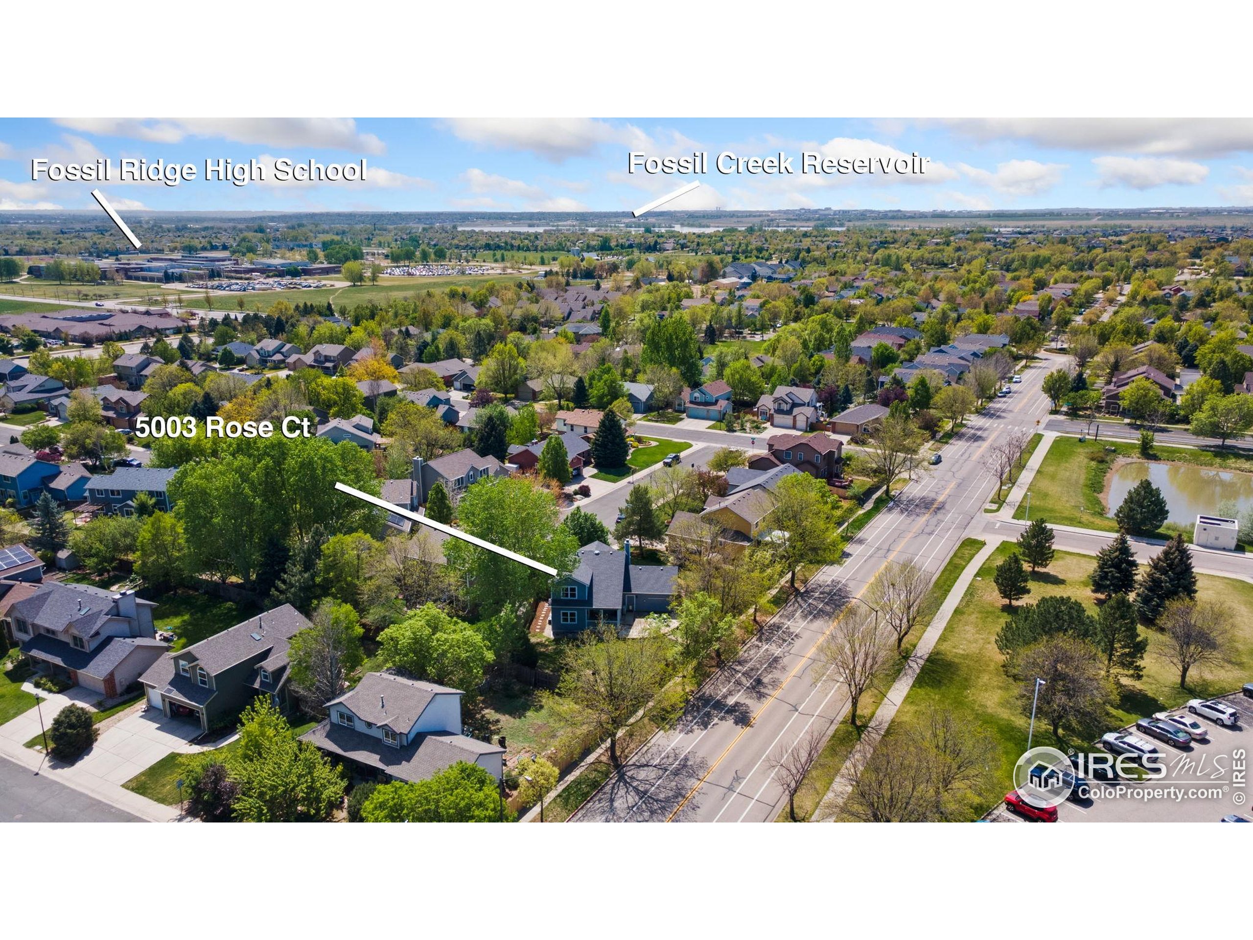 5003 Rose Ct