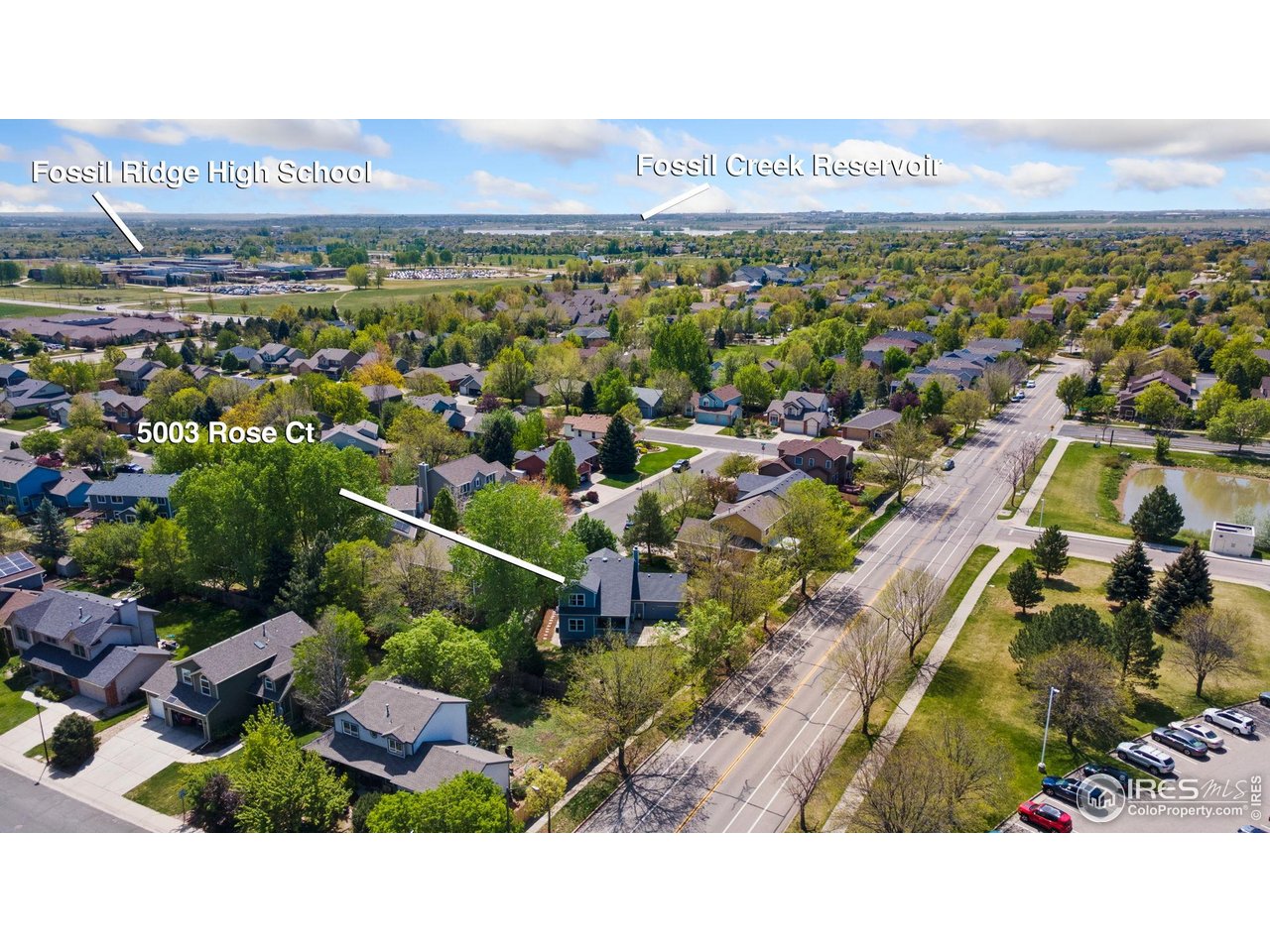 5003 Rose Ct