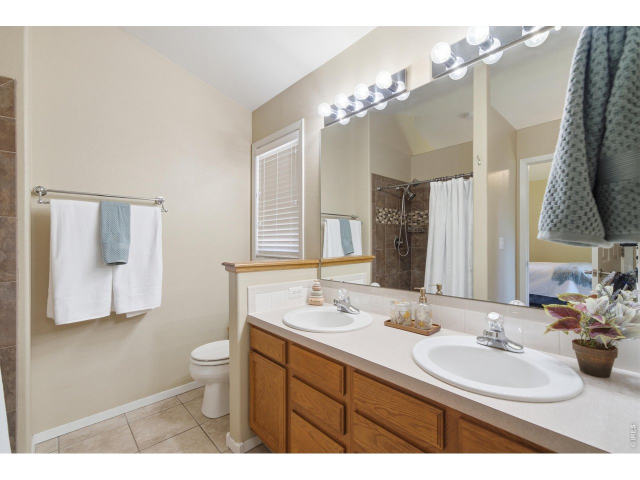 2449 Anemonie Ct