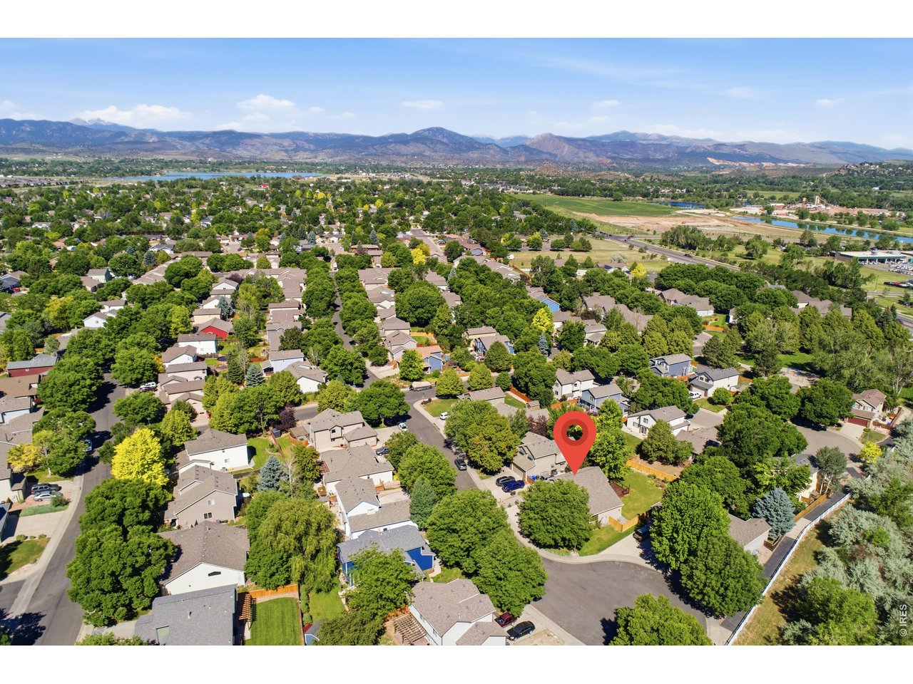 2449 Anemonie Ct