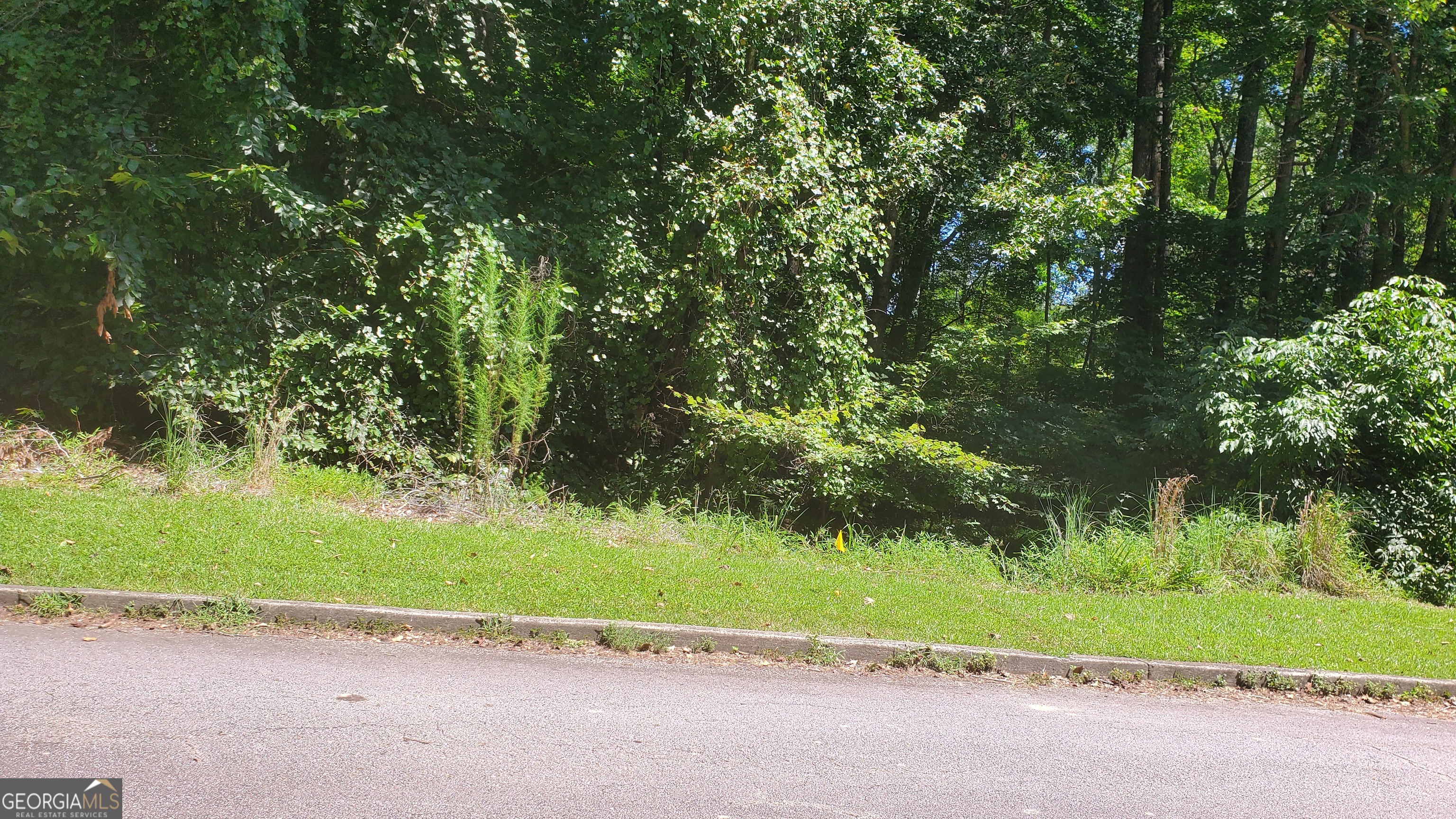 5028 Hidden Branch Drive