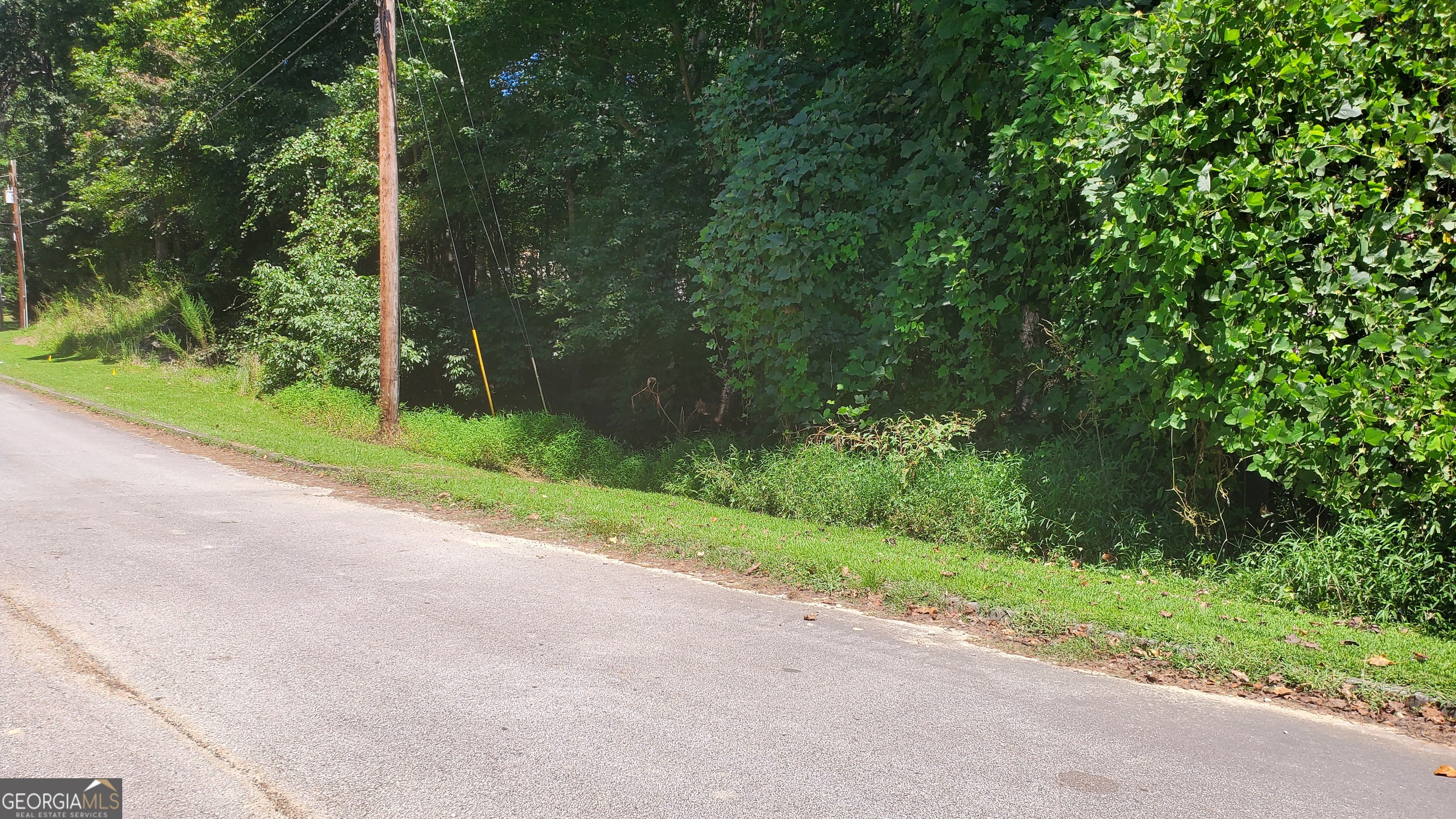 5059 Hidden Branch Drive