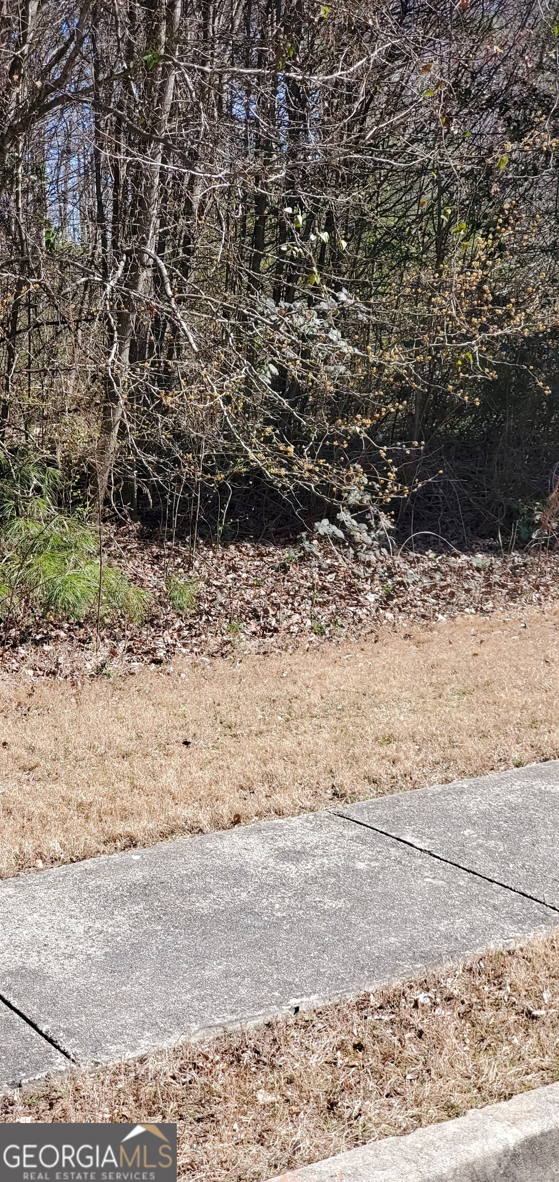3447 Tiffany Cove Drive