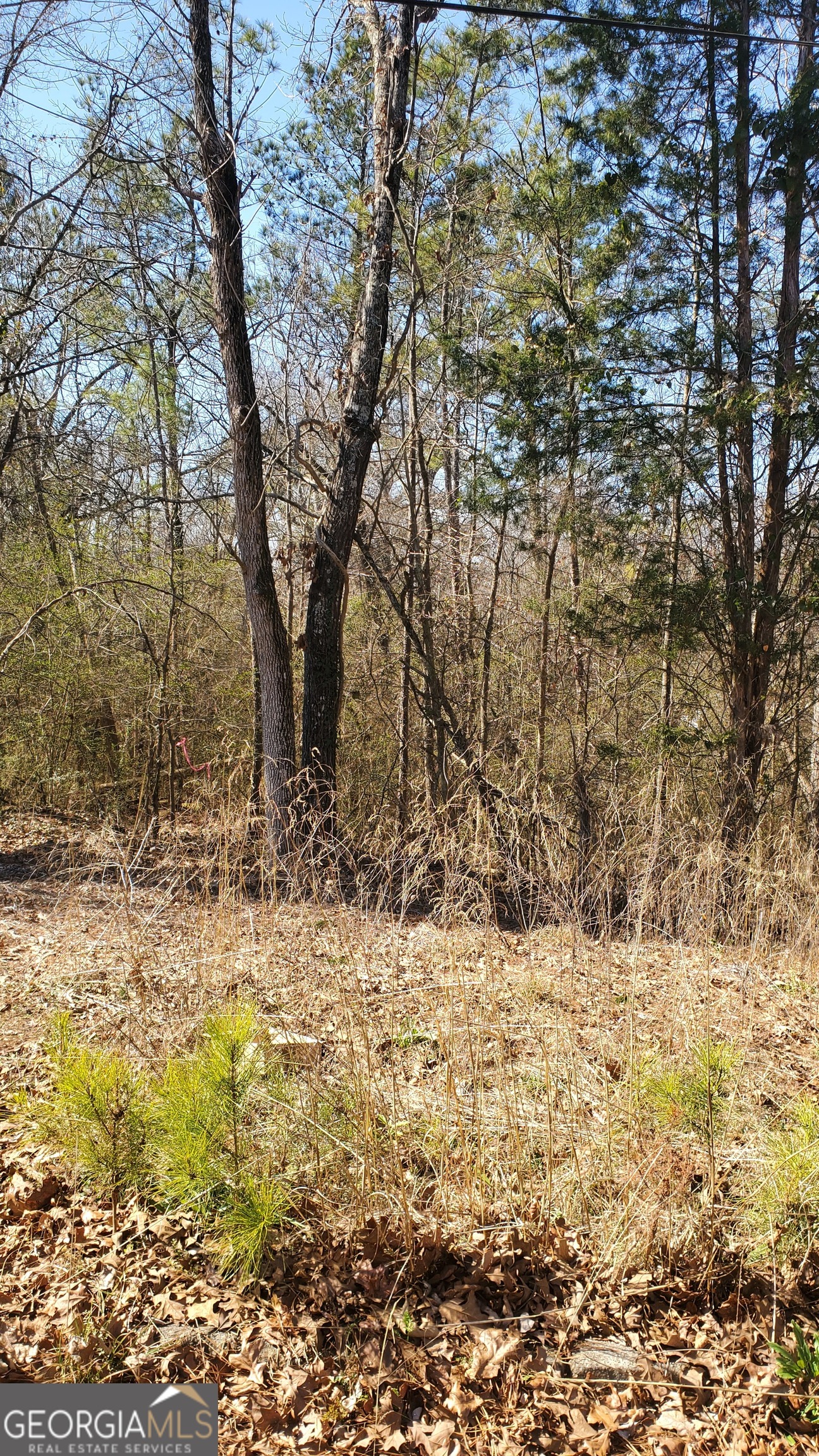 5090 Maltdie Court