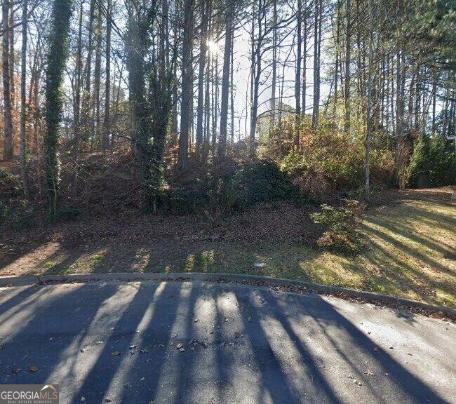 Wooded property lot with tall trees, dense shrubs, and a paved drive.