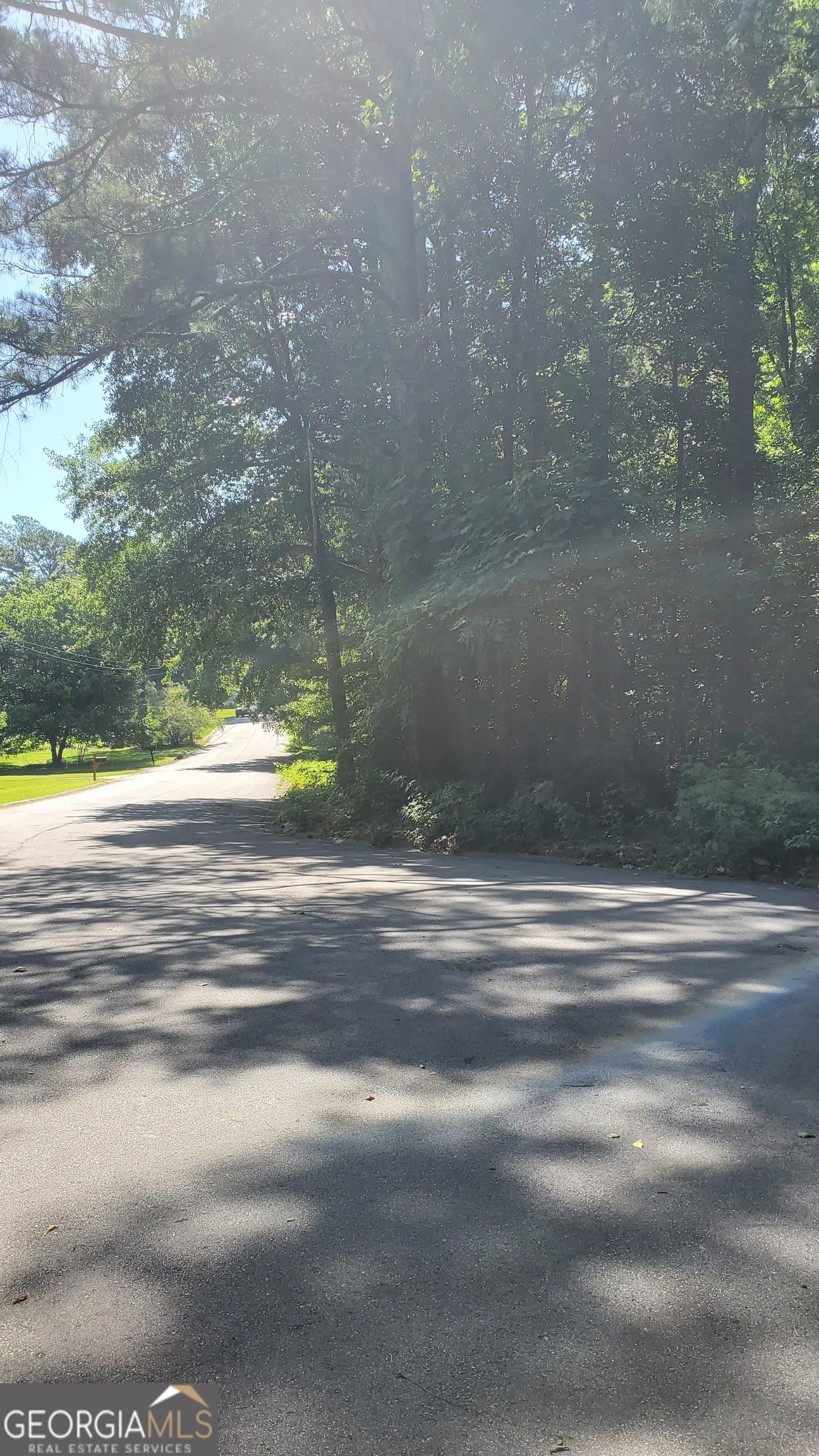 Tree-lined residential road beside dense woods, with a mailbox on the grassy verge.