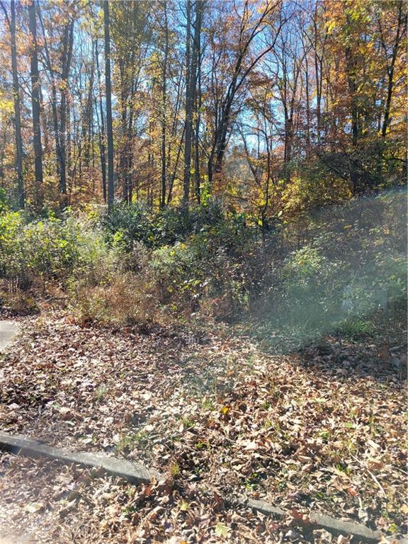 5008 Hidden Branch Drive